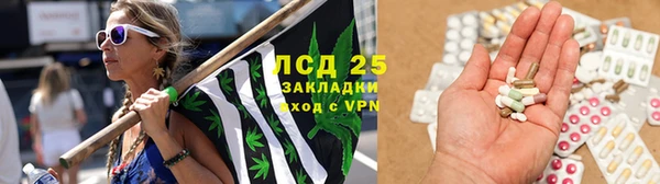 прущие крисы Аркадак