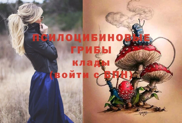 трава Арсеньев