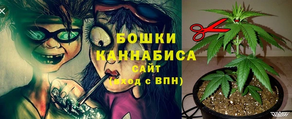 трава Арсеньев